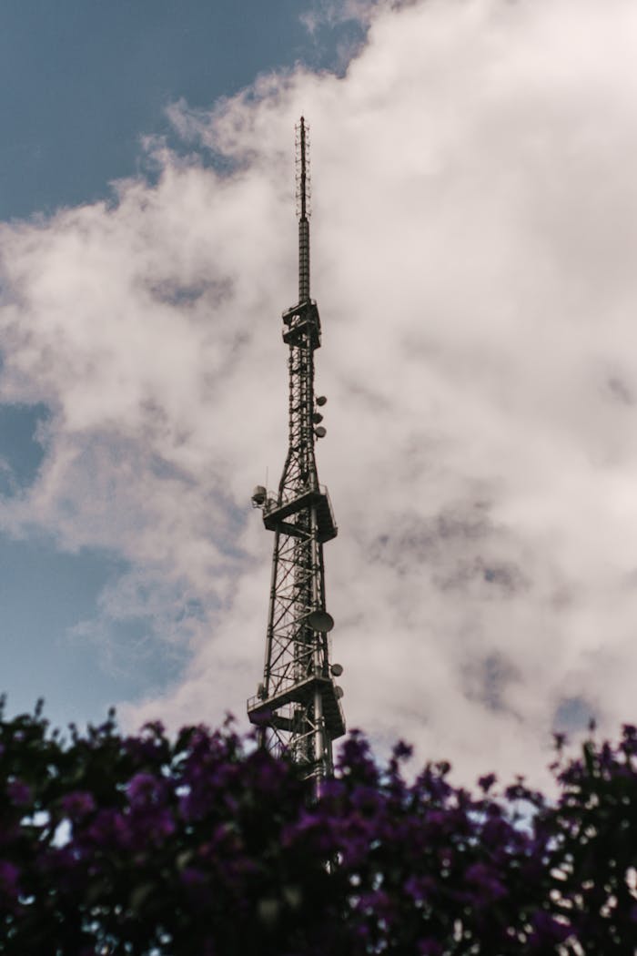 services-02